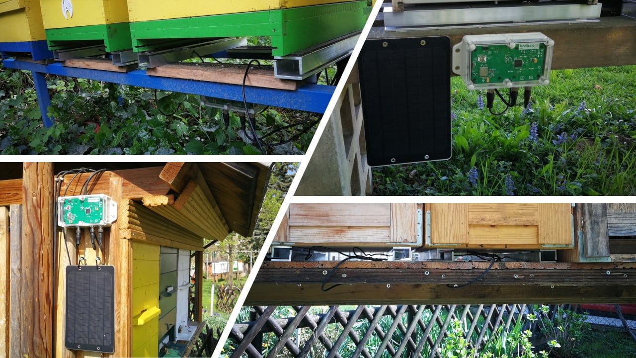 Exemples de montage de la balance de ruche